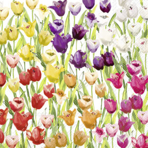 Lunch Servetten TULIPFIELD