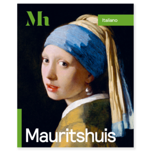 Gids Mauritshuis IT