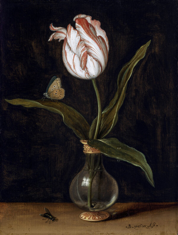 Poster Vaasje met een enkele tulp Balthasar van der Ast