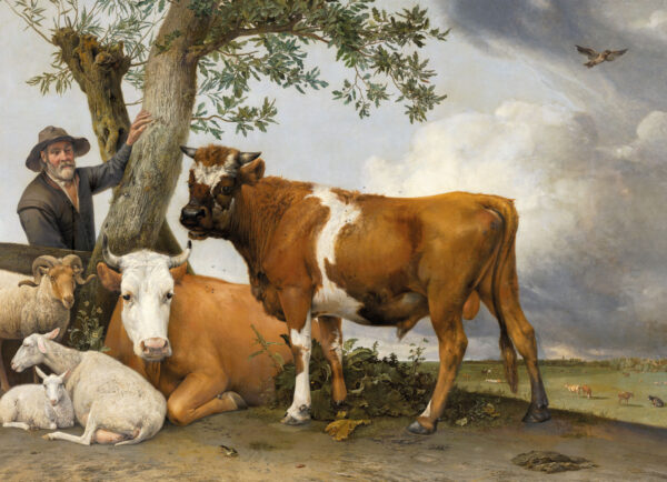 Puzzel Mh Stier - Potter