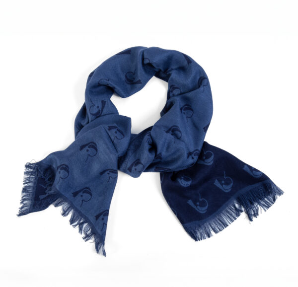 Sjaal Meisje Blauw